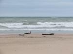 Lake Michigan beach